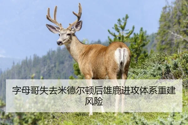 字母哥失去米德尔顿后雄鹿进攻体系重建风险